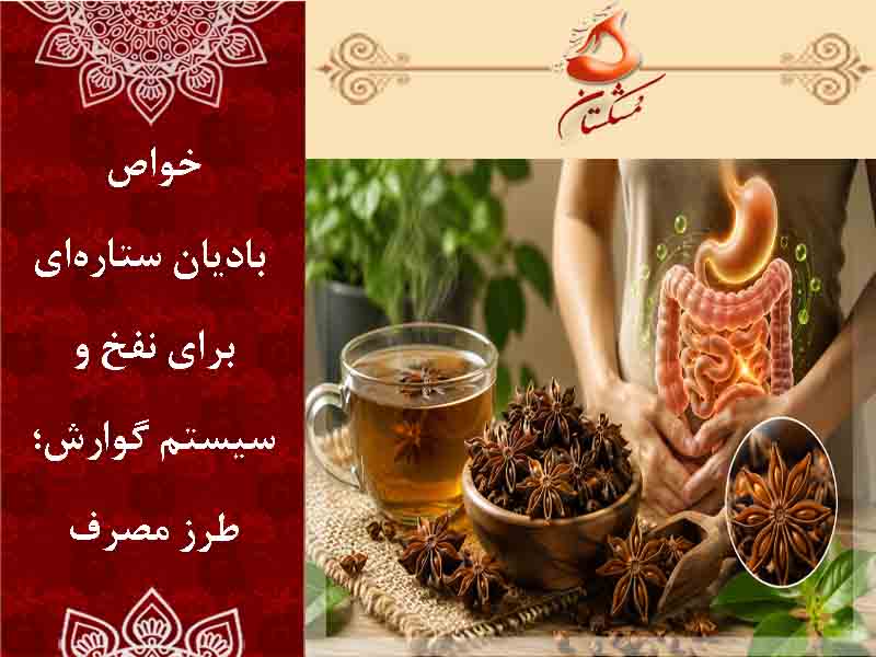 خواص بادیان ستاره‌ای برای نفخ