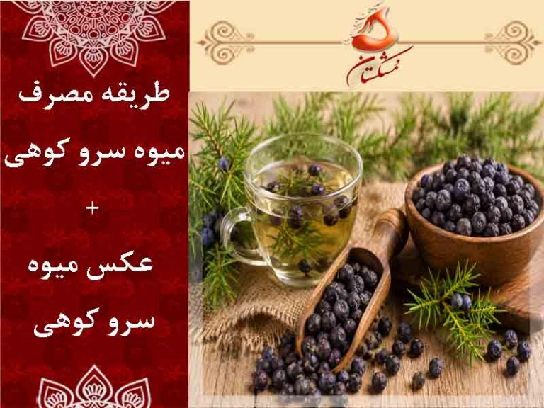 طریقه مصرف میوه سرو کوهی