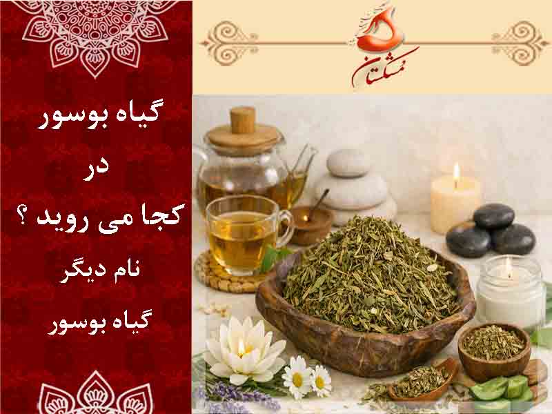 گیاه بوسور