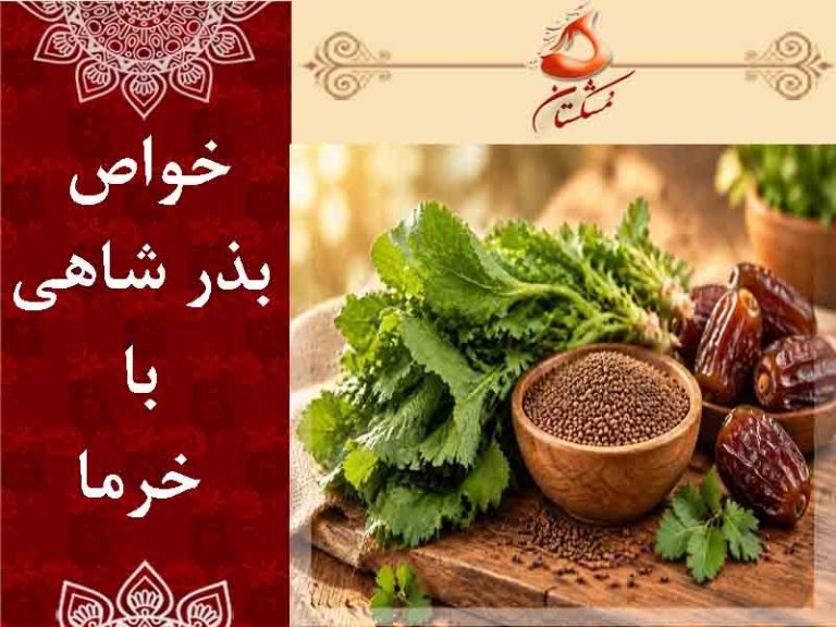 خواص بذر شاهی با خرما