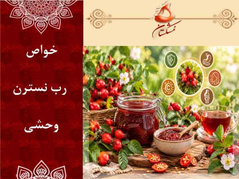 خواص رب نسترن وحشی