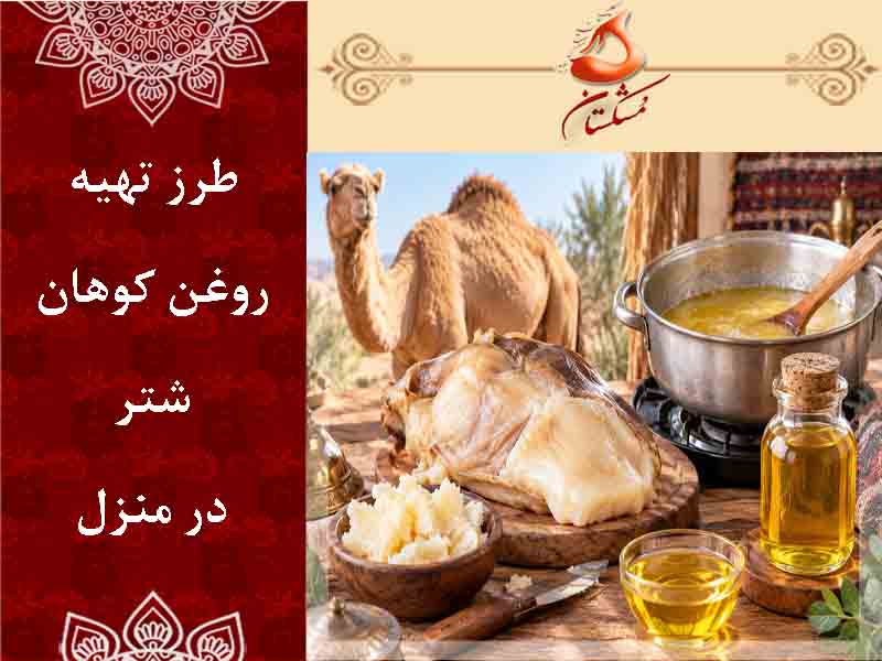 طرز تهیه روغن کوهان شتر در منزل